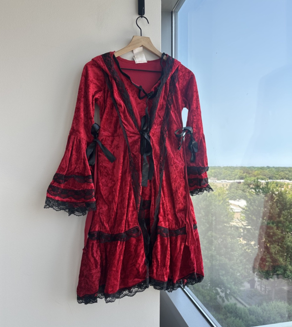 Strangelina Red Riding Hood Velvet Gothic Costume Dress Youth XL (12-14)